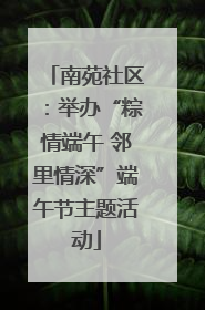 南苑社区：举办“粽情端午 邻里情深”端午节主题活动