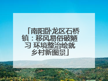 南阳卧龙区石桥镇：移风易俗破陋习 环境整治绘就乡村新图景