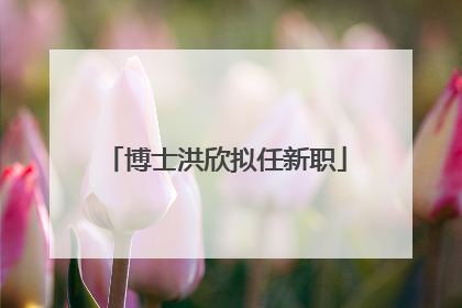 博士洪欣拟任新职