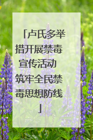 卢氏多举措开展禁毒宣传活动 筑牢全民禁毒思想防线
