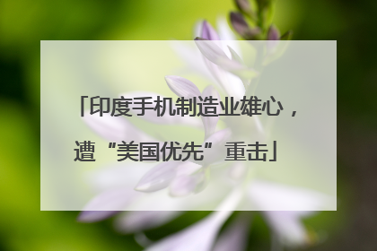 印度手机制造业雄心，遭“美国优先”重击