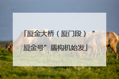 厦金大桥（厦门段）“厦金号”盾构机始发