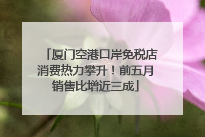 厦门空港口岸免税店消费热力攀升！前五月销售比增近三成