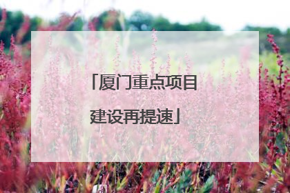厦门重点项目建设再提速