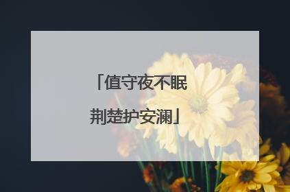 值守夜不眠 荆楚护安澜