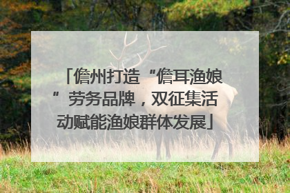 儋州打造“儋耳渔娘”劳务品牌，双征集活动赋能渔娘群体发展