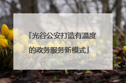 光谷公安打造有温度的政务服务新模式