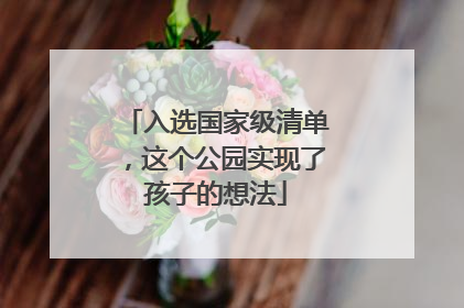 入选国家级清单，这个公园实现了孩子的想法