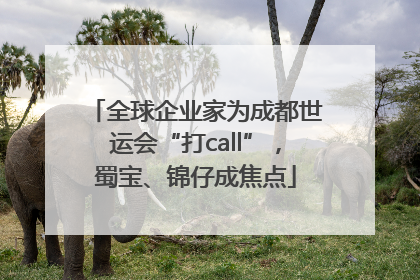 全球企业家为成都世运会“打call”，蜀宝、锦仔成焦点