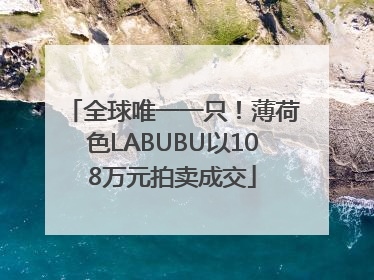 全球唯一一只！薄荷色LABUBU以108万元拍卖成交