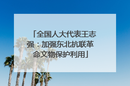 全国人大代表王志强：加强东北抗联革命文物保护利用