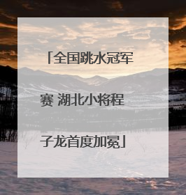 全国跳水冠军赛 湖北小将程子龙首度加冕