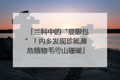 兰科中的“显眼包”！内乡发现珍稀濒危植物毛萼山珊瑚
