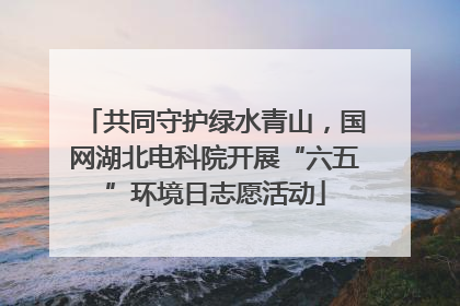 共同守护绿水青山，国网湖北电科院开展“六五”环境日志愿活动