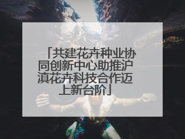 共建花卉种业协同创新中心助推沪滇花卉科技合作迈上新台阶