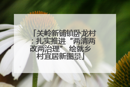 关岭新铺镇卧龙村：扎实推进“两清两改两治理” 绘就乡村宜居新图景