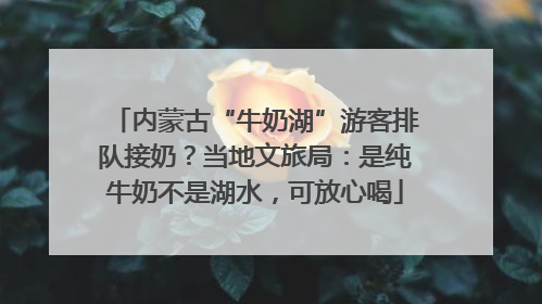 内蒙古“牛奶湖”游客排队接奶？当地文旅局：是纯牛奶不是湖水，可放心喝