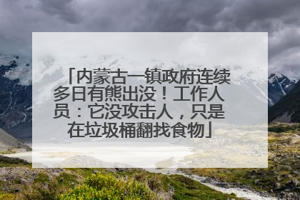 内蒙古一镇政府连续多日有熊出没！工作人员：它没攻击人，只是在垃圾桶翻找食物