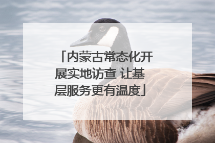 内蒙古常态化开展实地访查 让基层服务更有温度