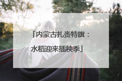 内蒙古扎赉特旗：水稻迎来插秧季