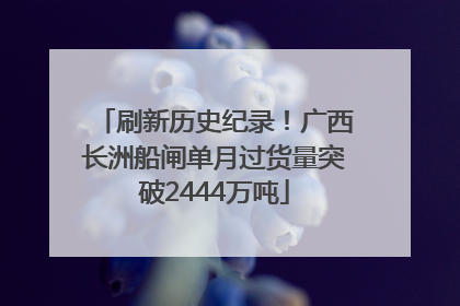 刷新历史纪录！广西长洲船闸单月过货量突破2444万吨