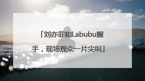 刘亦菲和Labubu握手，现场观众一片尖叫