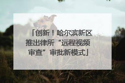 创新！哈尔滨新区推出律所“远程视频审查”审批新模式