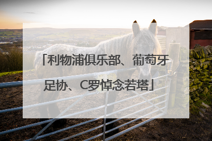 利物浦俱乐部、葡萄牙足协、C罗悼念若塔