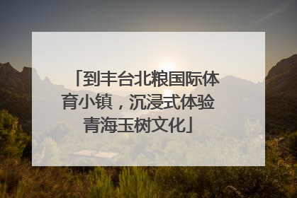 到丰台北粮国际体育小镇，沉浸式体验青海玉树文化