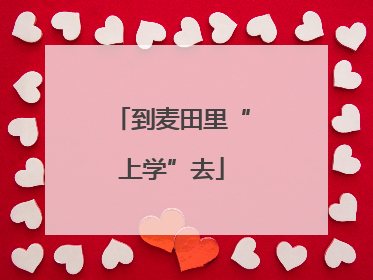 到麦田里“上学”去
