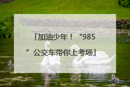 加油少年！“985”公交车带你上考场