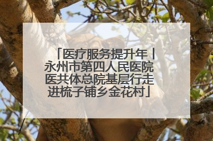 医疗服务提升年丨永州市第四人民医院医共体总院基层行走进梳子铺乡金花村