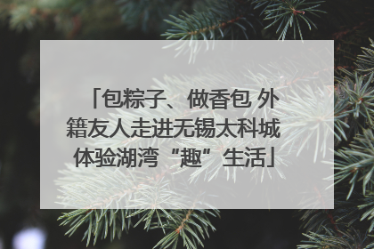 包粽子、做香包 外籍友人走进无锡太科城体验湖湾“趣”生活