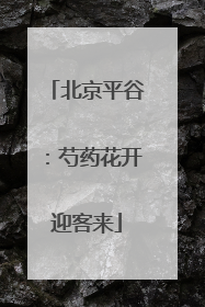 北京平谷：芍药花开迎客来