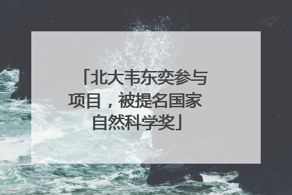 北大韦东奕参与项目，被提名国家自然科学奖
