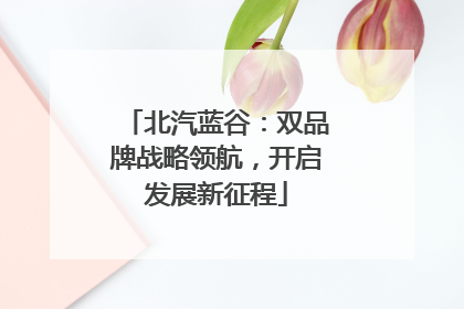 北汽蓝谷：双品牌战略领航，开启发展新征程