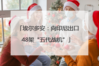 埃尔多安：向印尼出口48架“五代战机”