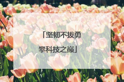 坚韧不拔勇攀科技之巅