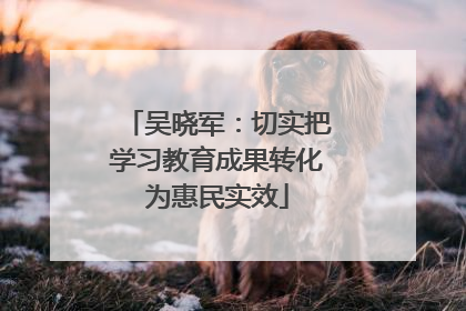 吴晓军：切实把学习教育成果转化为惠民实效