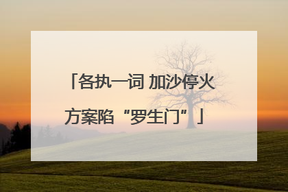 各执一词 加沙停火方案陷“罗生门”
