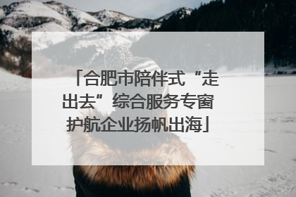 合肥市陪伴式“走出去”综合服务专窗护航企业扬帆出海