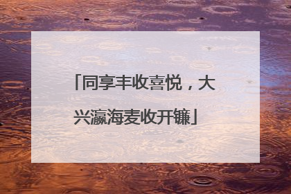 同享丰收喜悦，大兴瀛海麦收开镰