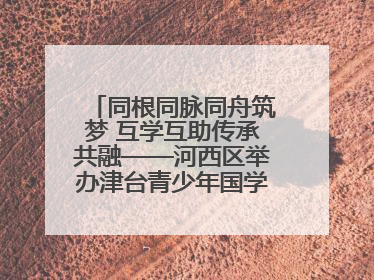 同根同脉同舟筑梦 互学互助传承共融——河西区举办津台青少年国学交流活动