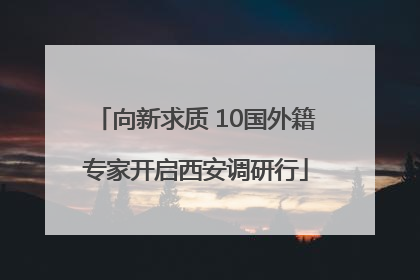 向新求质 10国外籍专家开启西安调研行
