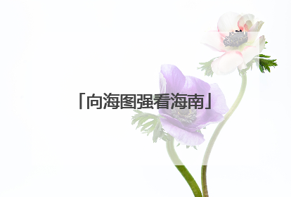 向海图强看海南