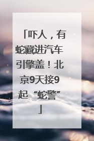 吓人，有蛇藏进汽车引擎盖！北京9天接9起“蛇警”
