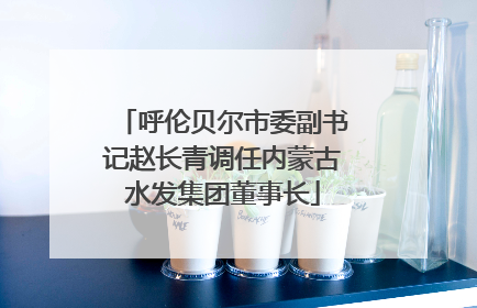 呼伦贝尔市委副书记赵长青调任内蒙古水发集团董事长