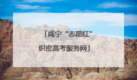 咸宁“志愿红”织密高考服务网