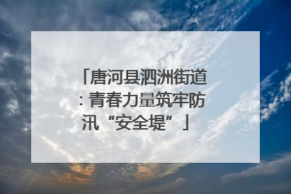 唐河县泗洲街道：青春力量筑牢防汛“安全堤”