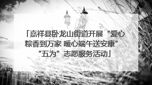 嘉祥县卧龙山街道开展“爱心粽香到万家 暖心端午送安康” “五为”志愿服务活动